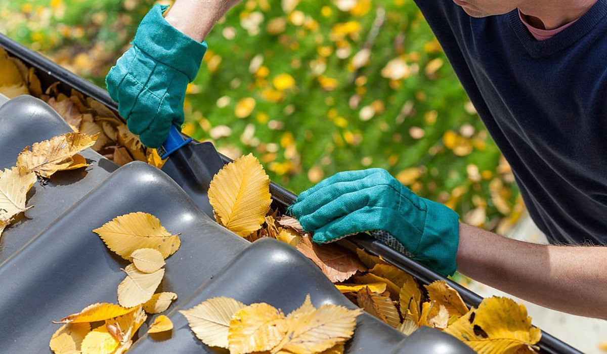 The Importance of Gutter Maintenance